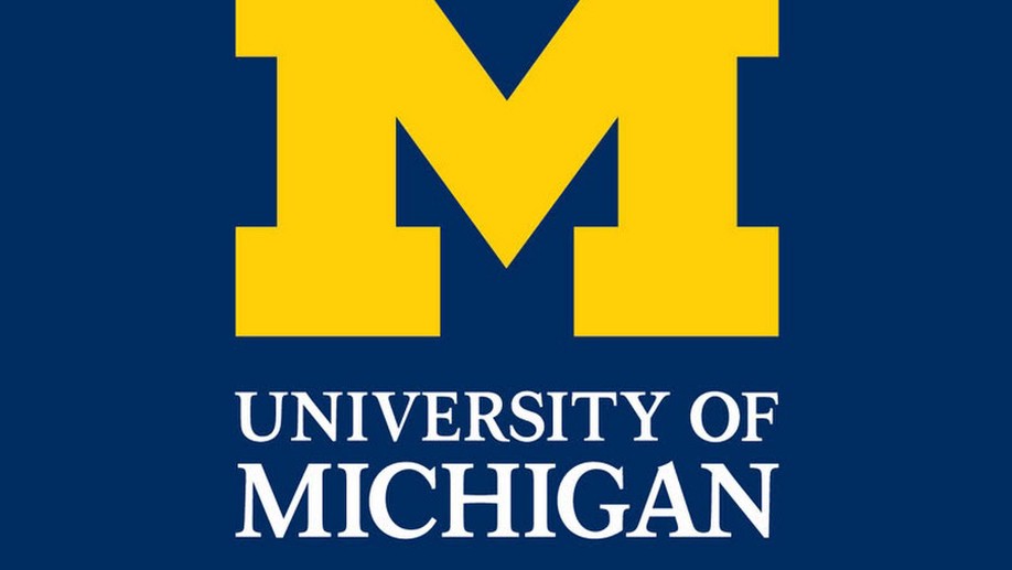 Undergraduate Research Scholar